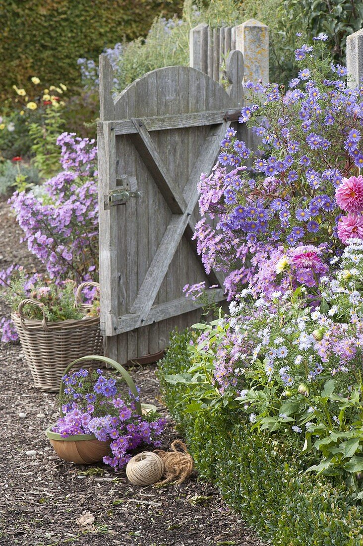 Open garden gate in autumnal cottage garden