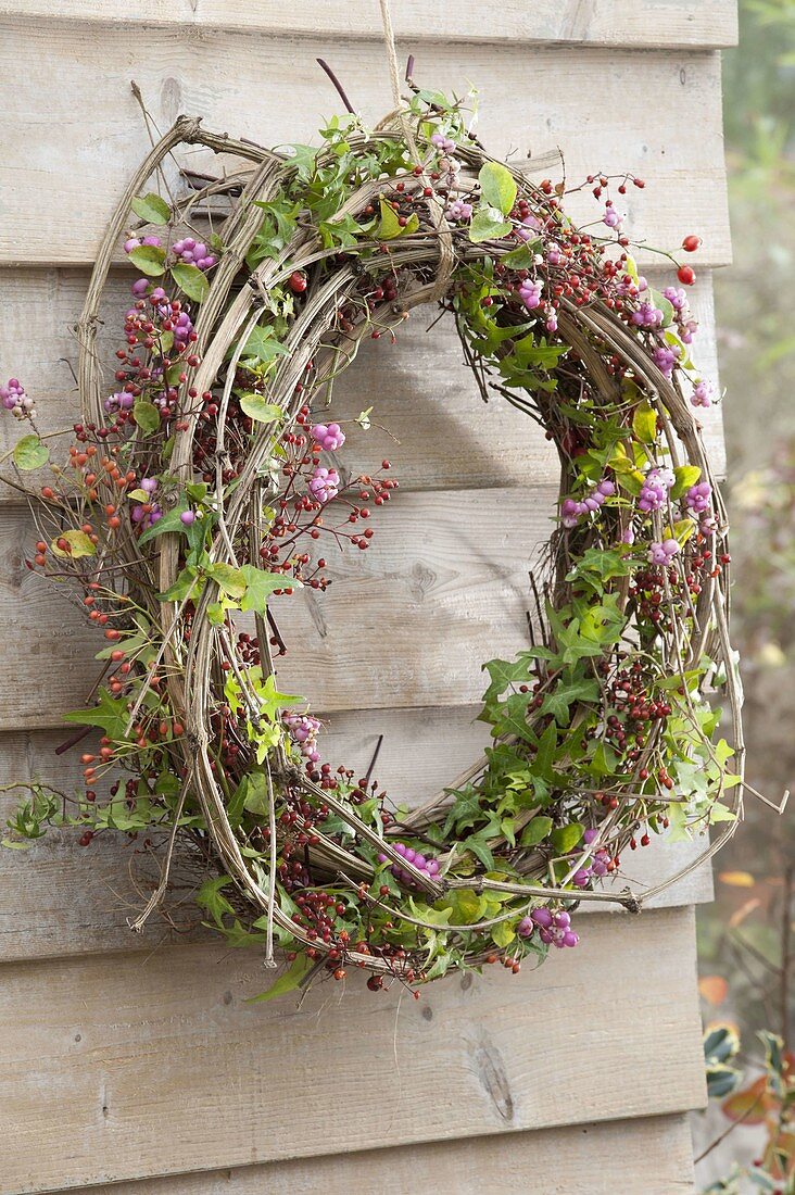 Autumn wreath made of clematis and hedera (ivy) tendrils