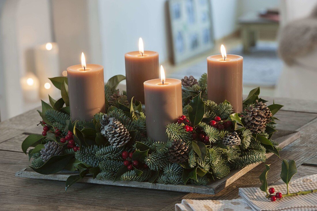 Natural Advent wreath made of Abies nobilis, holly (Ilex)