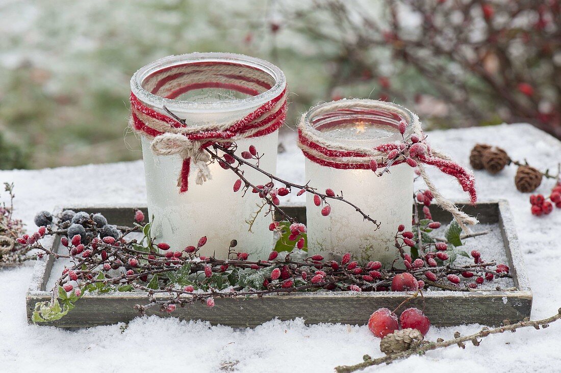 Lanterns frosted and with snow