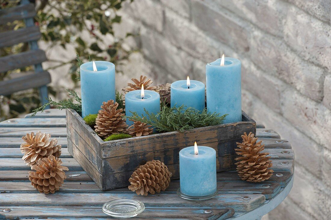 Wooden box with 4 blue candles, cones of Pinus (pine), moss