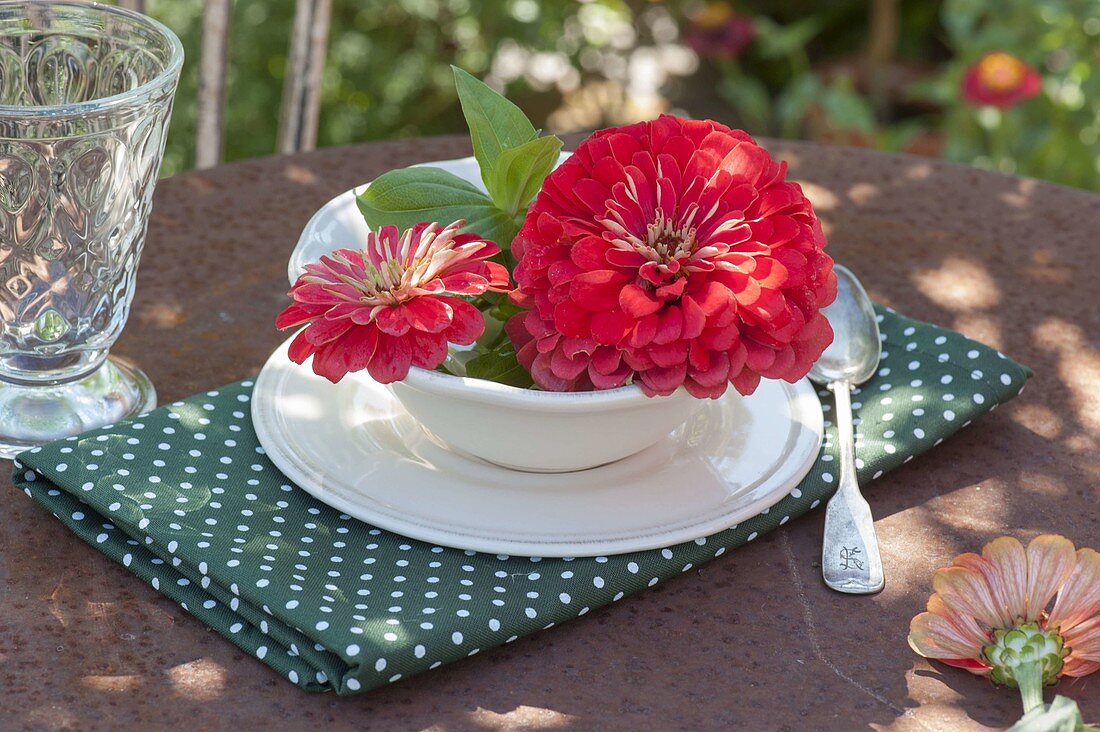 Table decoration with zinnias