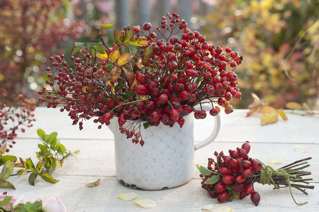 Wild fruit bouquet of various pinks (rose hips) in old milk pot