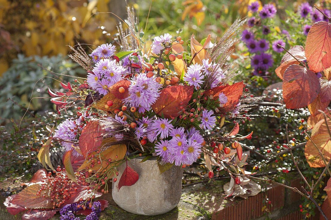 Autumn bouquet of Aster (autumn asters), Malus (ornamental apples)