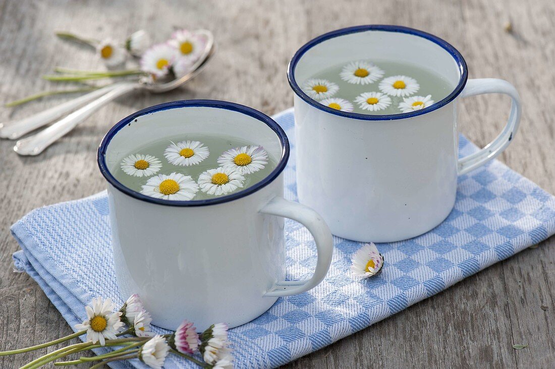 Tee mit Gänseblümchen (Bellis perennis) in Emaille-Bechern