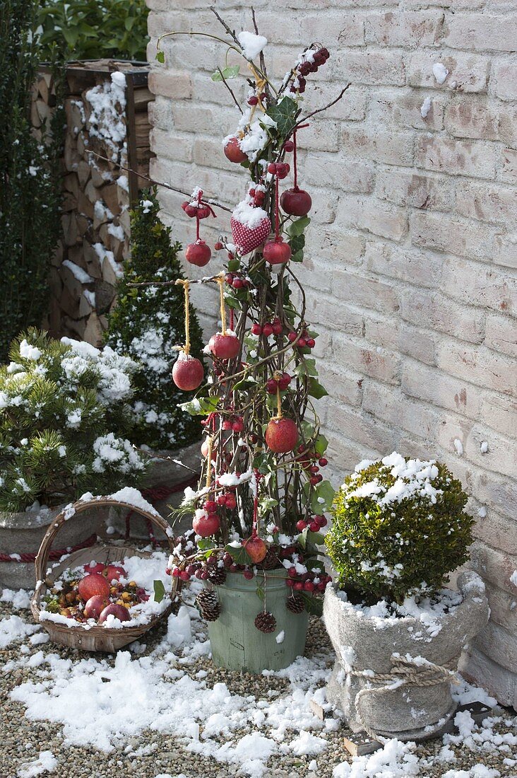 Building birdseed tree from branches yourself