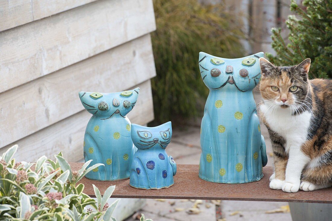 Handgetöpferte blaue Katzen-Familie mit lebendiger Katze Minka