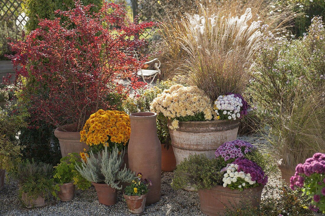 Autumn arrangement on gravel terrace