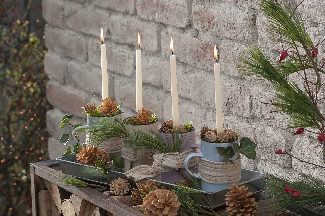 Unusual Advent wreath in coffee cups on zinc tray