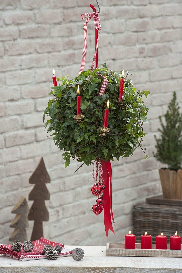 Hedera helix gorwn as a ball in a hanging basket, decorated for Christmas