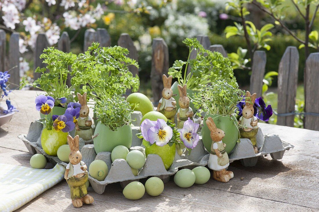 Egg box with planted eggs and as a vase with flowers