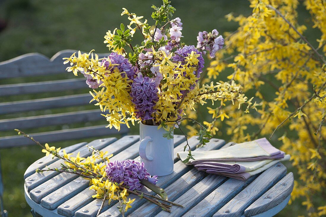 Fragrant bouquet of Forsythia, Hyacinthus