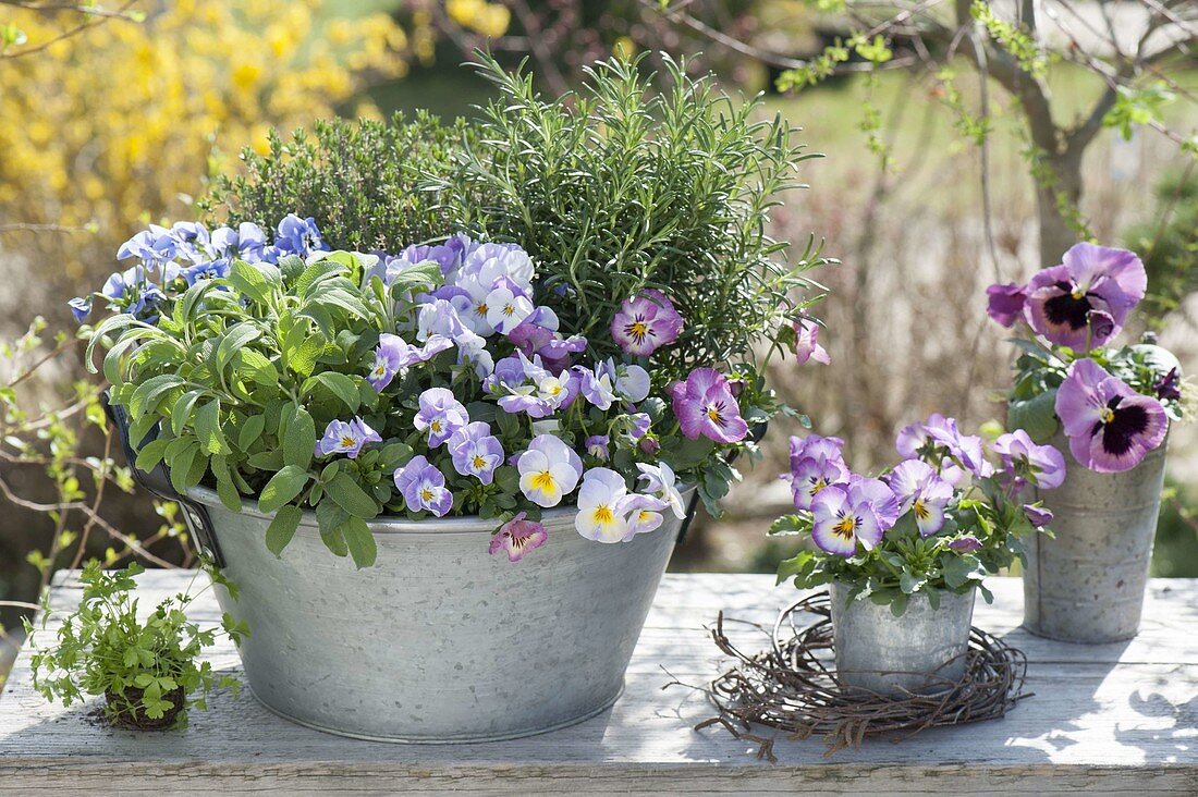 Zinkwanne mit Kräutern und essbaren Blüten