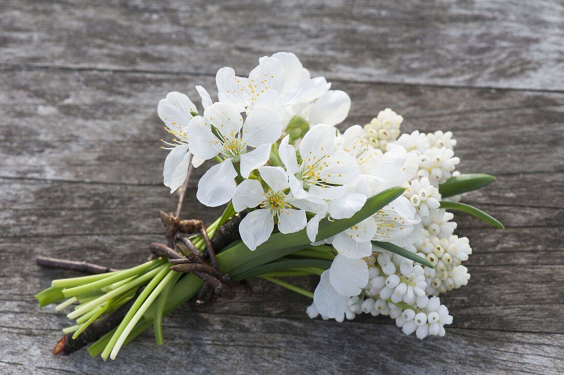 Small bouquet of Malus (ornamental apple) and Muscari armeniacum 'Siberian Tiger'