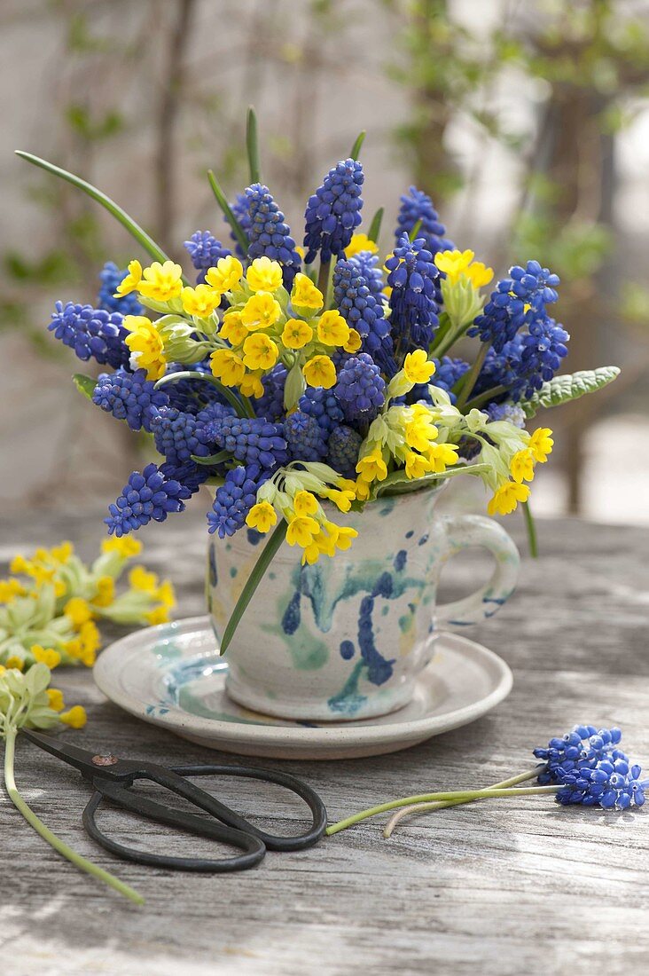 Small posy of muscari (grape hyacinth)