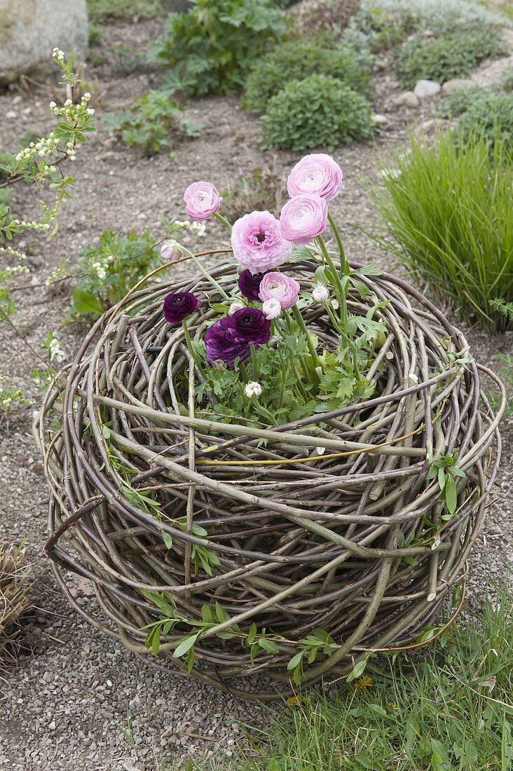 Beaded nest of willow