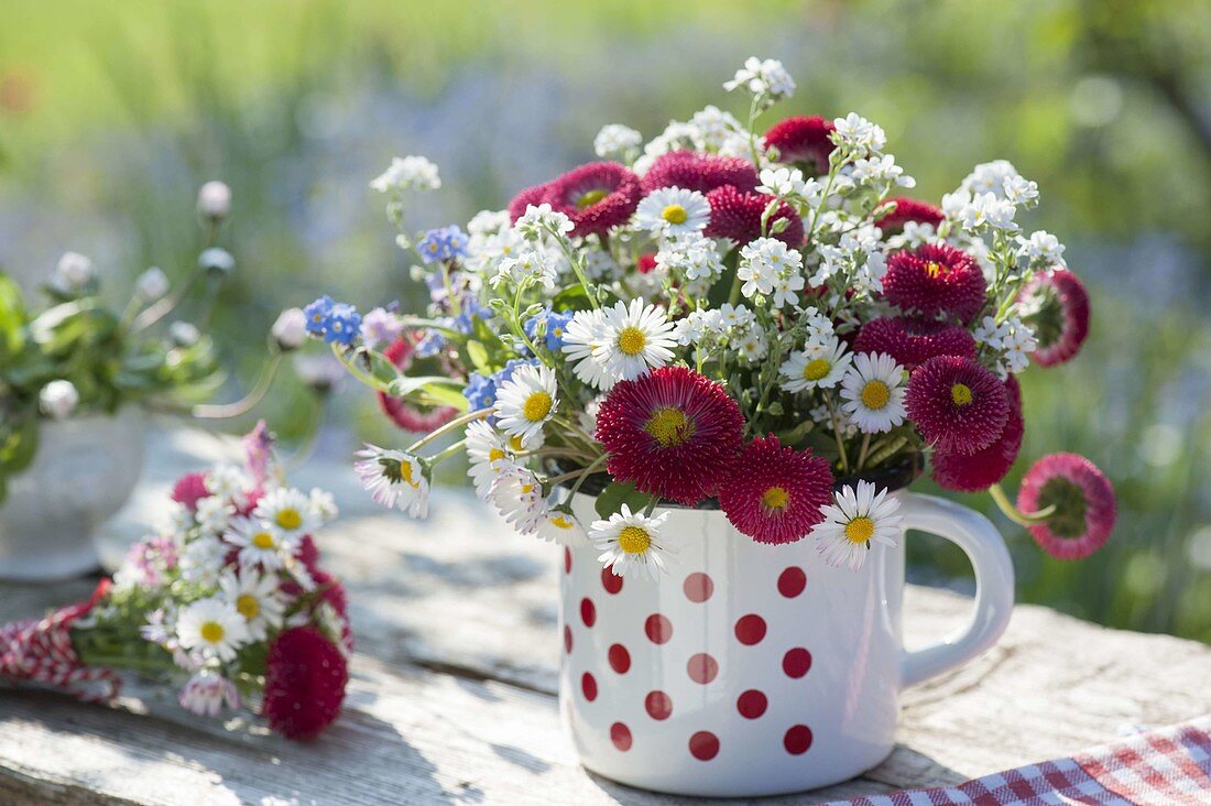 Posy with Bellis (Daisies, amarant)