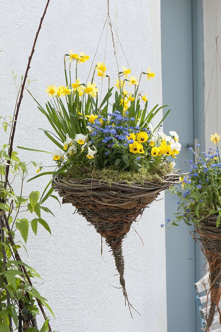 Hanging basket made from different branches