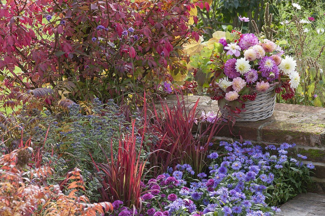 Autumn patio bed in blue and red