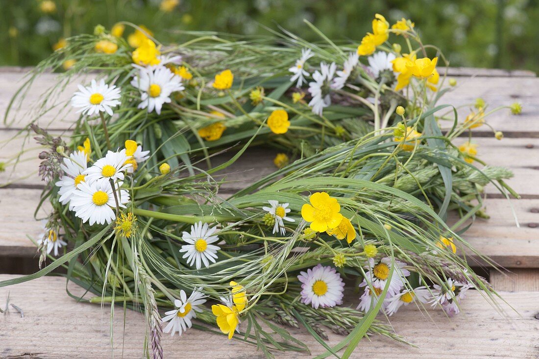 Maiengrün, wreath wound from grasses, Bellis perennis