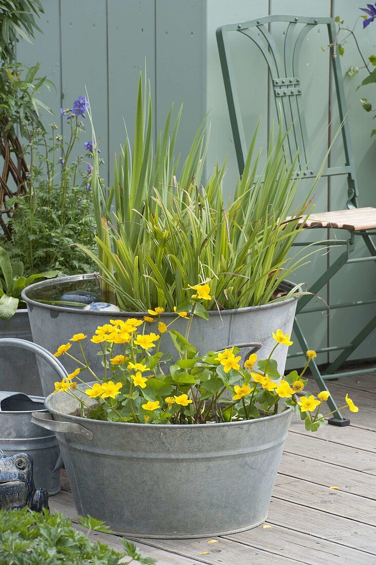 Old zinc sinks as mini ponds on the terrace