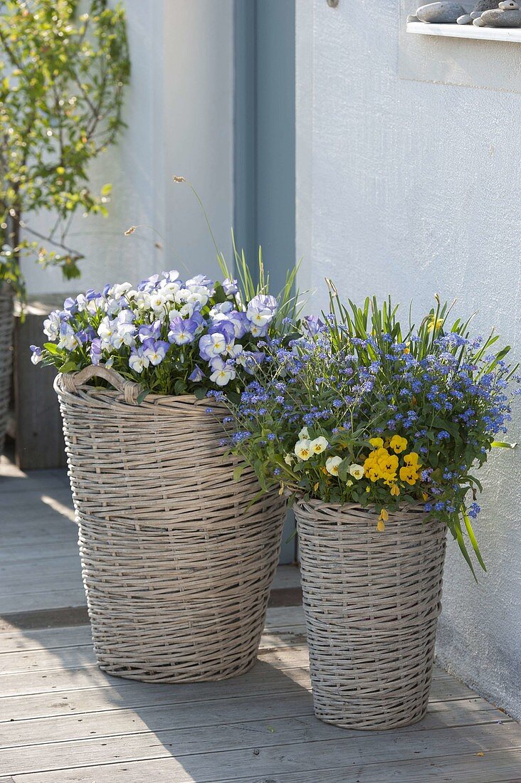 Tall gray baskets with spring bloomers beside house entrance