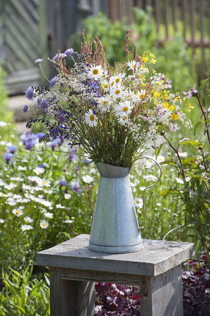 Flower meadow bouquet of Leucanthemum vulgare in zinc can