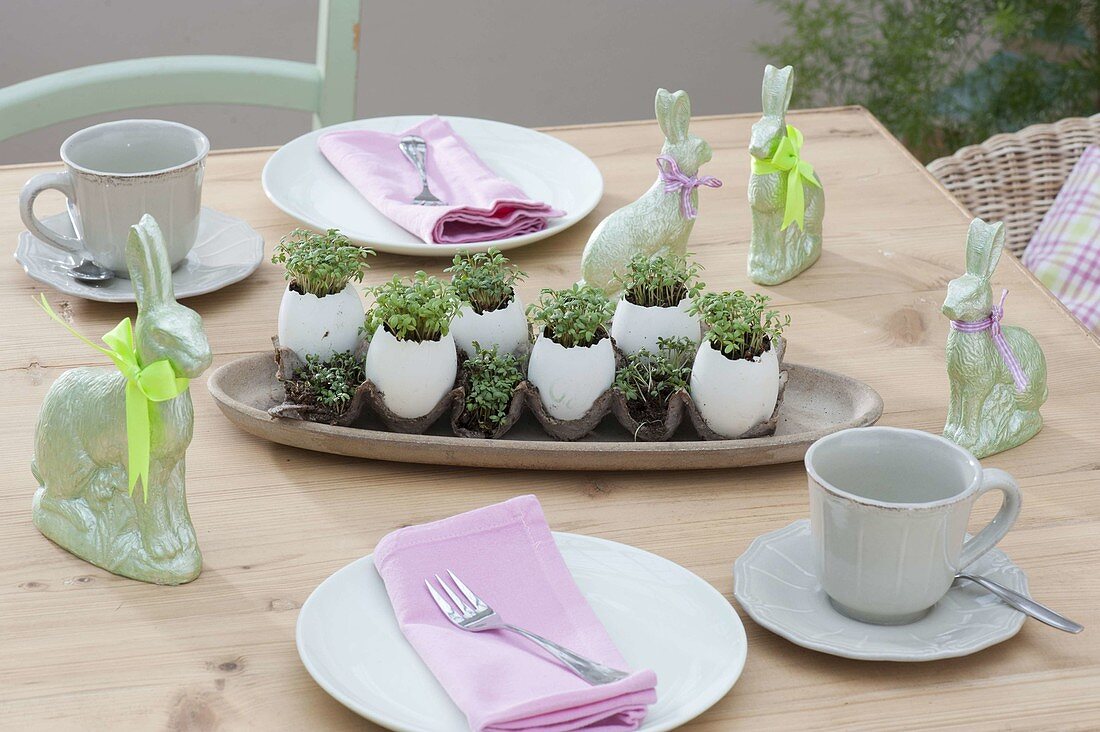 Cress seeded in empty eggs as Easter table decoration