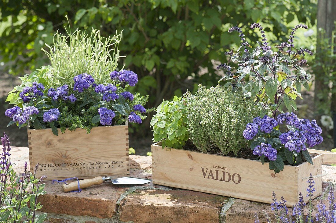 Empty Prosecco box and wine box turned into gift boxes