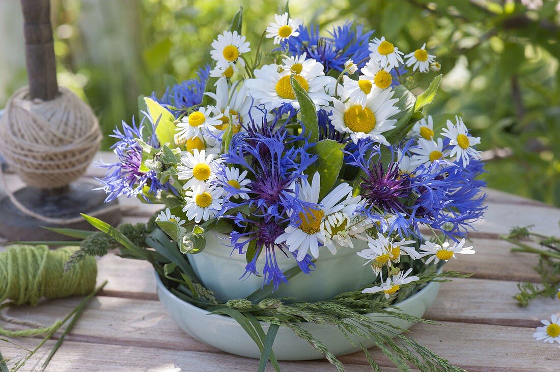 Blue-white mini jar in cup with saucer Centaurea montana