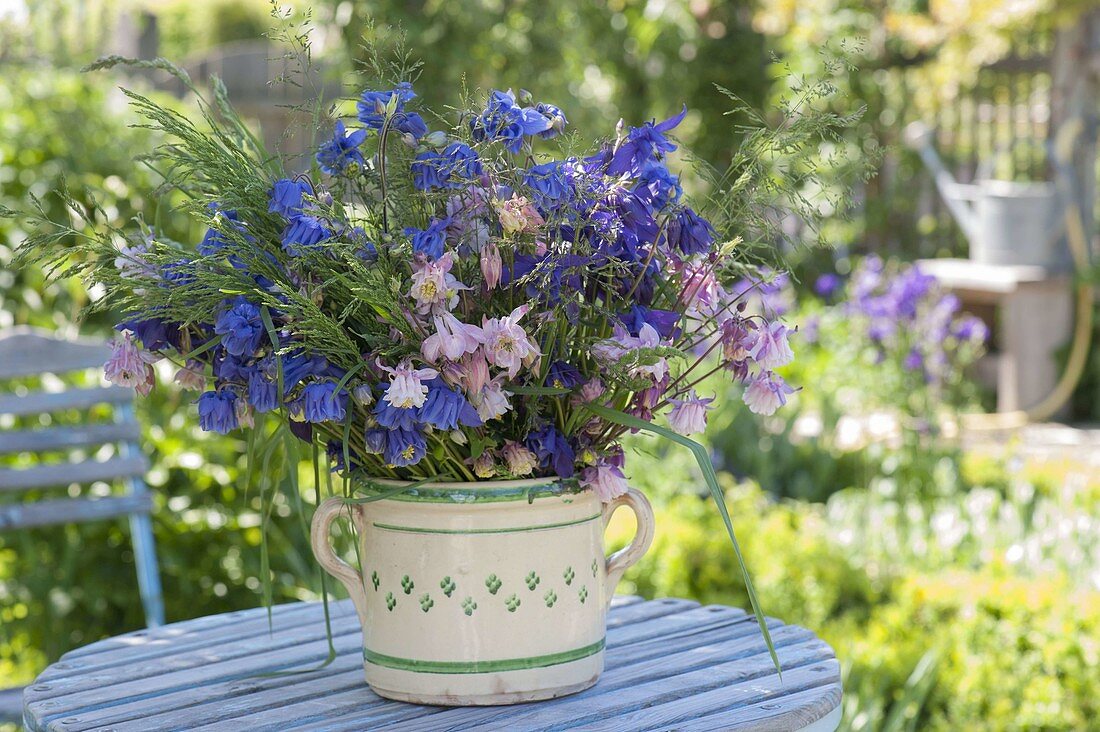 Natural bouquet of aquilegia (columbine) and grasses