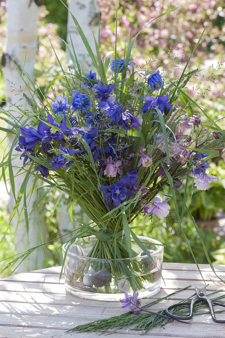 Blue bouquet of Aquilegia and grasses in glass bowl