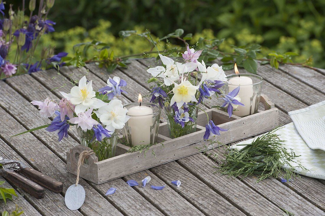 Kleine Windlichter und Mini-Straeusse aus Aquilegia (Akelei) in Gläsern