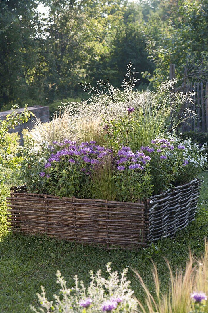 Perennials and grasses in a bed with hazel-wicker border