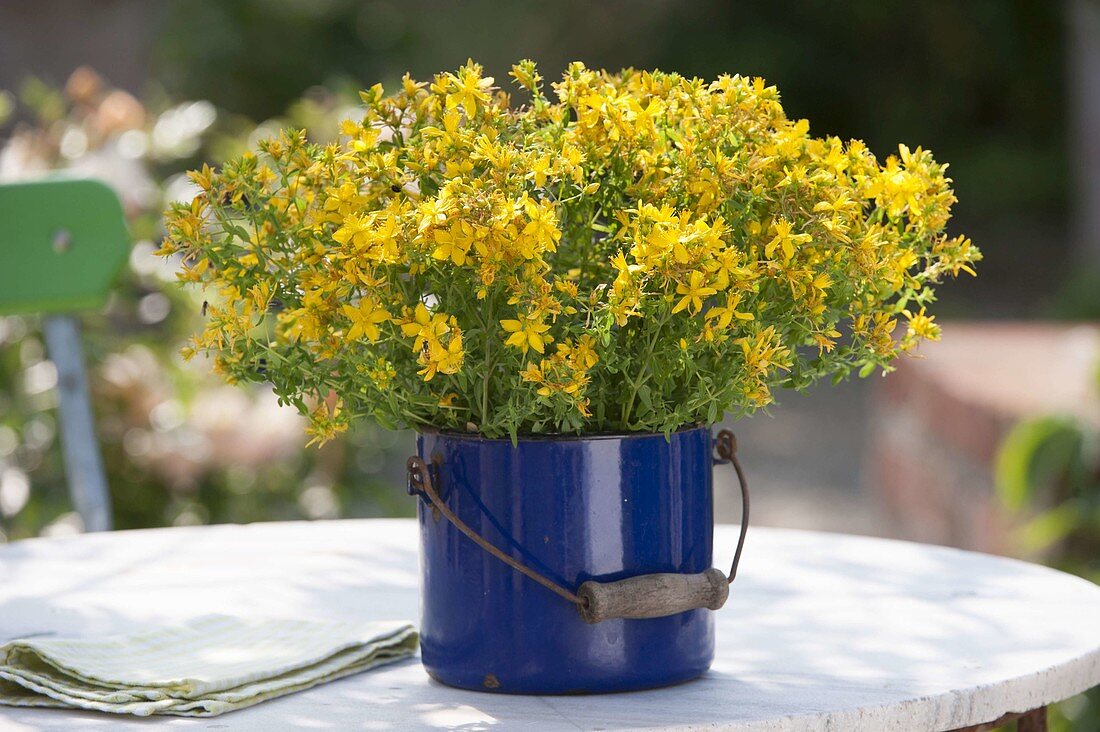 St. John's wort bouquet in enamelled enamel