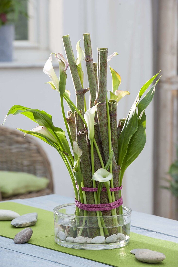 Modern bouquet with stems of Riesenknöterich as a stool