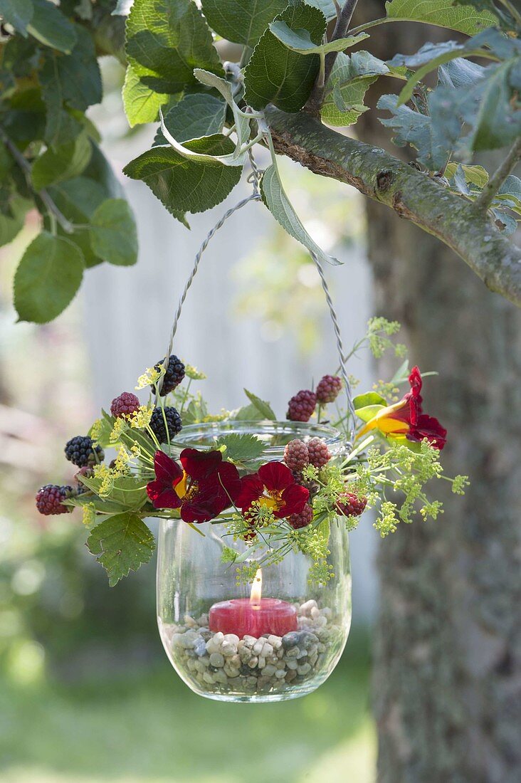 Lantern made of misused jam on the tree