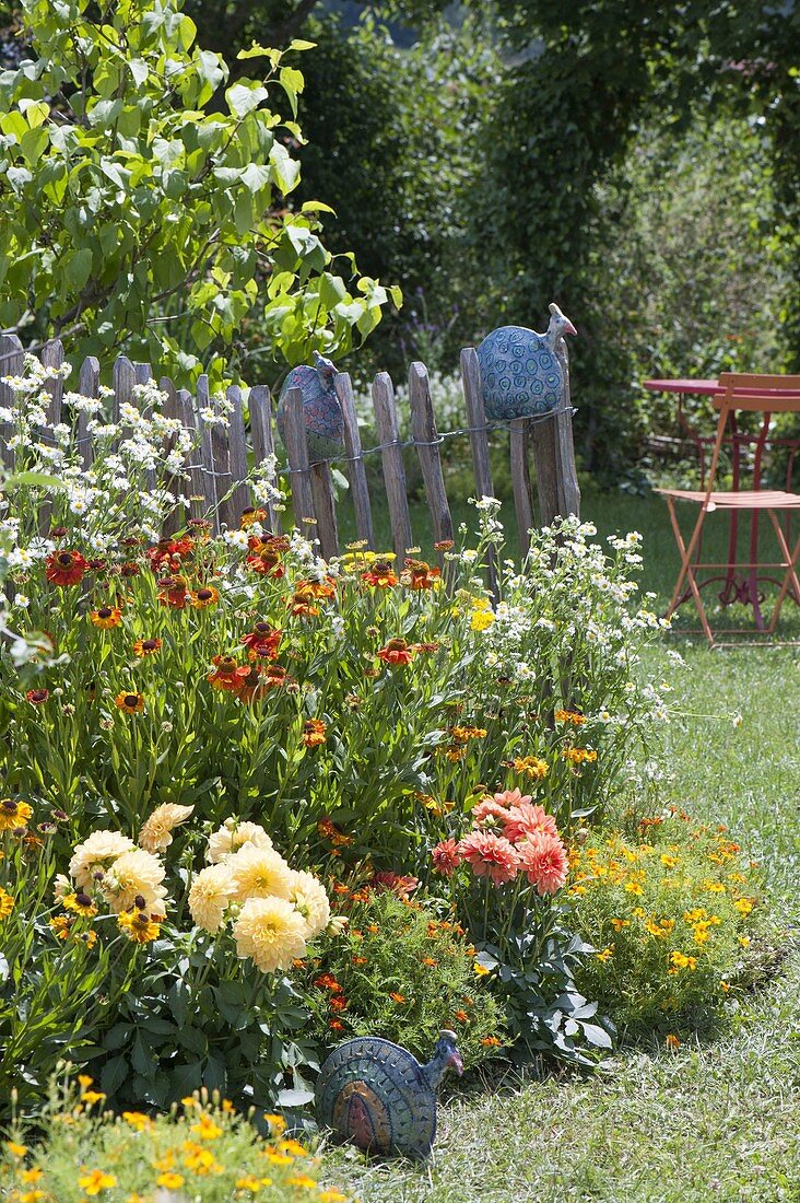 Flowerbed in yellow, red and orange with Helenium hybrid 'Waltraut' 'Wyndley'