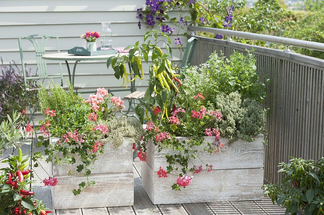 Balcony with privacy screen from self-made wooden boxes