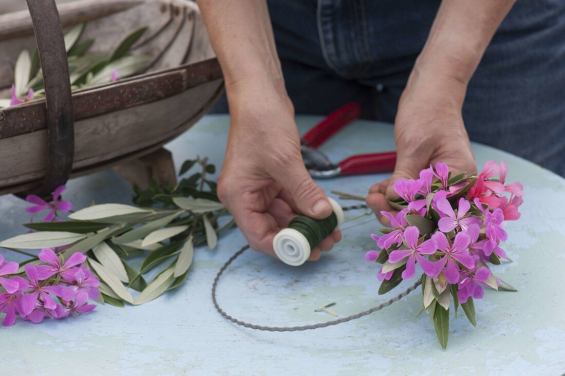 Cutting back the olive tree and tying the prunings together as a wreath