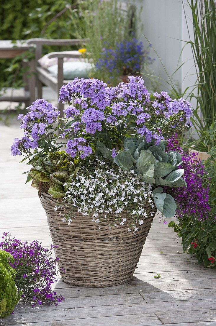 Wicker basket with flowers and vegetables