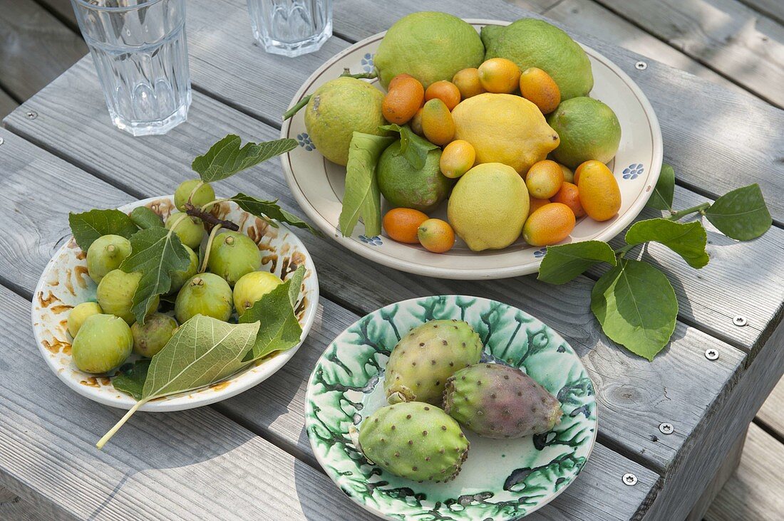 Freshly picked Mediterranean fruits on ceramics