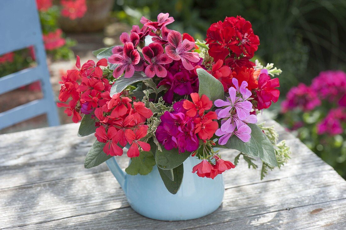 Small bouquet with pelargonium and sage cutback