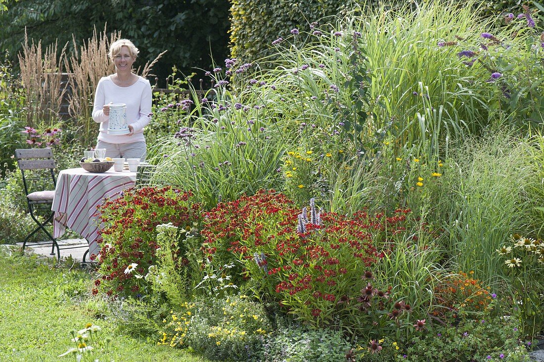 Perennial flowerbed with Helenium 'Rubinzwerg' (Sun Bride), Echinacea