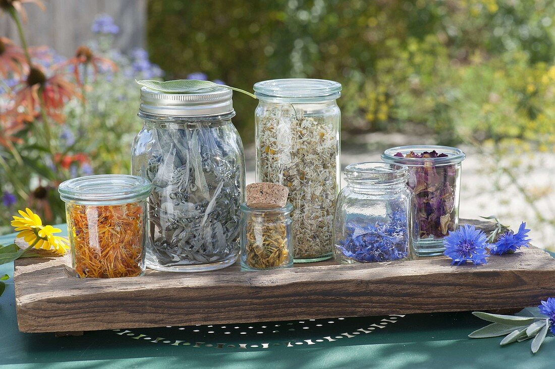 Jars with dried flowers and leaves for tea