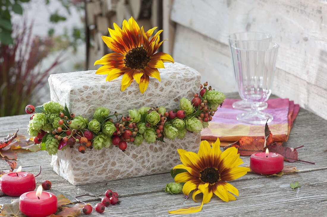 Garland of Humulus lupulus and Rose around gift