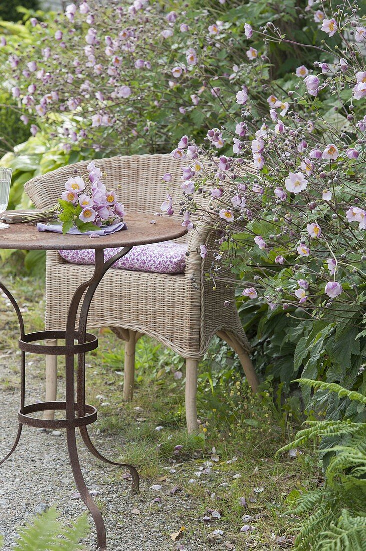 Kleiner Sitzplatz mit Korbsessel und Tisch am Beetrand, Anemone hupehensis