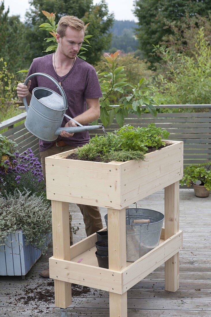 Build rollable raised bed on balcony yourself and plant with herbs