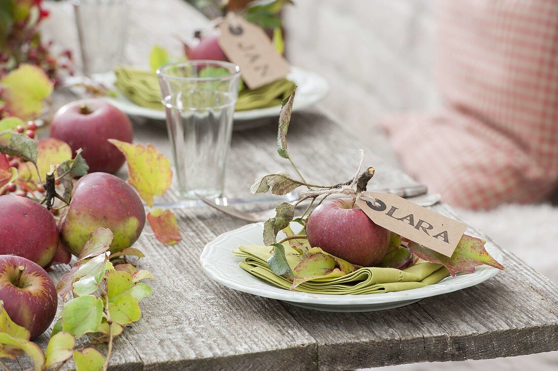 Table decoration with apples, rose hips and wild wine