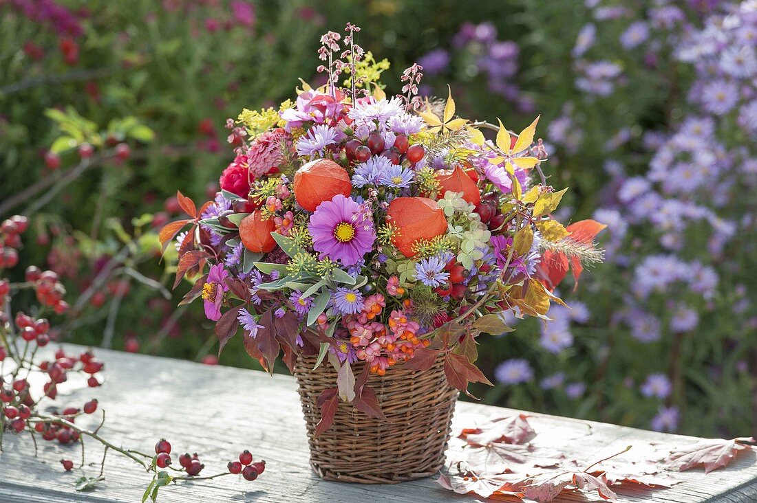 Herbststrauss 'Quer durch den Garten' : Aster (Herbstastern), Physalis